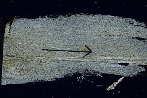 Cross Polarized, S89562