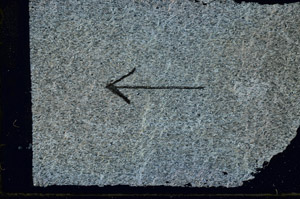 Cross Polarized, S89563