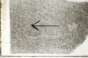 Plane Polarized, S89563