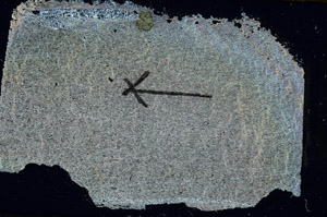 Cross Polarized, S89564