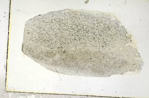 Plane Polarized, S89565