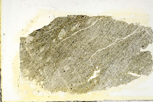 Plane Polarized, S89566