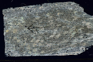 Cross Polarized, S89568