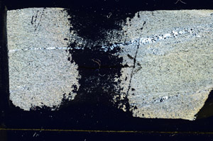 Cross Polarized, S89569
