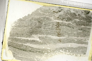 Plane Polarized, S89571