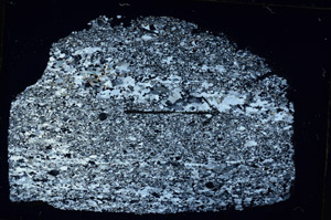 Cross Polarized, S89572
