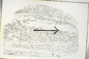 Plane Polarized, S89572