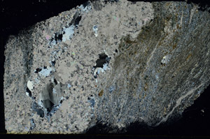 Cross Polarized, S89573