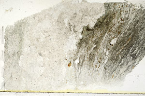 Plane Polarized, S89573