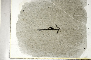 Plane Polarized, S89574