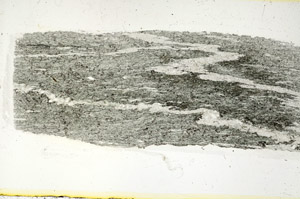 Plane Polarized, S89575