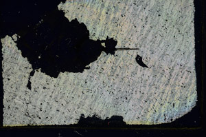 Cross Polarized, S89578
