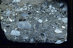 Cross Polarized, S89579