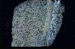 Cross Polarized, S89581