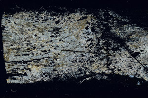 Cross Polarized, S89583