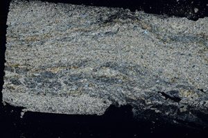 Cross Polarized, S89587
