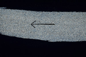 Cross Polarized, S89588