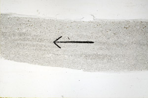 Plane Polarized, S89588