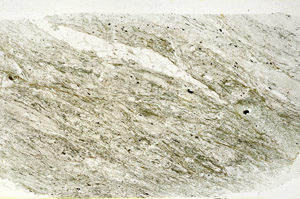 Plane Polarized, S89590