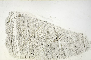 Plane Polarized, S89595