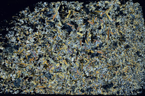 Cross Polarized, S89599
