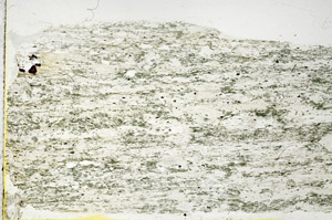 Plane Polarized, S89602