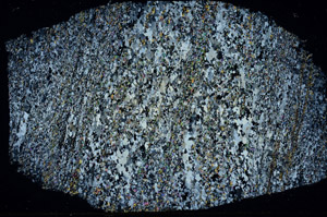 Cross Polarized, S89604