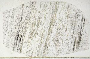 Plane Polarized, S89604