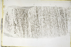 Plane Polarized, S89607