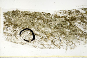 Plane Polarized, S89611