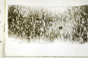 Plane Polarized, S89614