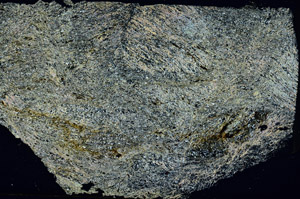 Cross Polarized, S89617
