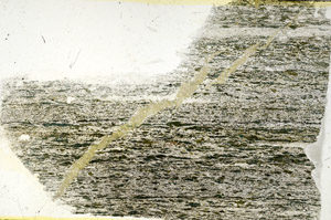Plane Polarized, S89621