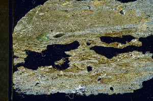 Cross Polarized, S89625