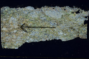 Cross Polarized, S89626
