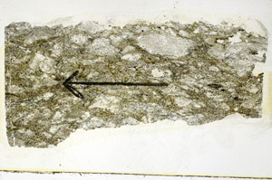 Plane Polarized, S89626