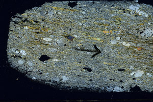 Cross Polarized, S89628