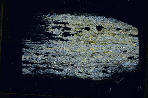 Cross Polarized, S89629