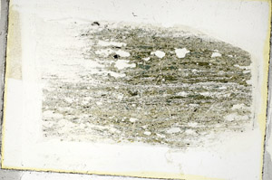 Plane Polarized, S89629