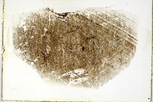 Plane Polarized, S89630