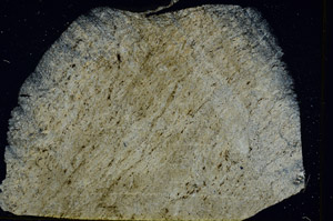 Cross Polarized, S89631