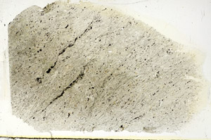 Plane Polarized, S89632