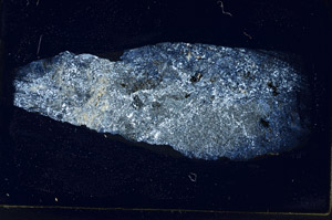 Cross Polarized, S89633
