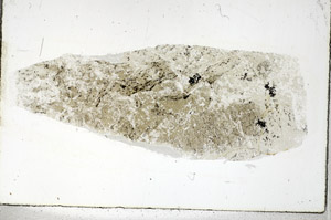Plane Polarized, S89633