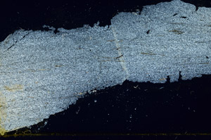 Cross Polarized, S89634