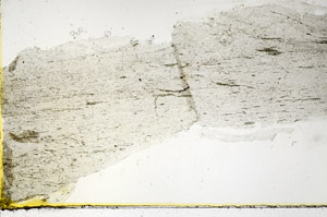 Plane Polarized, S89634