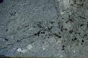 Cross Polarized, S89640