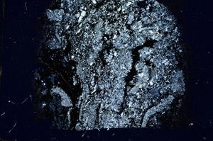 Cross Polarized, S89641