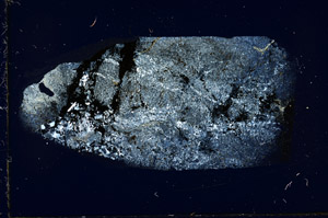 Cross Polarized, S89642
