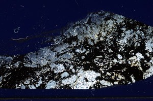 Cross Polarized, S89643